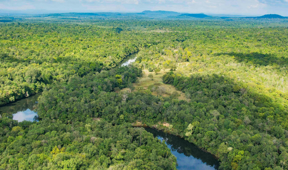 Cardamom Mountains, Cambodia